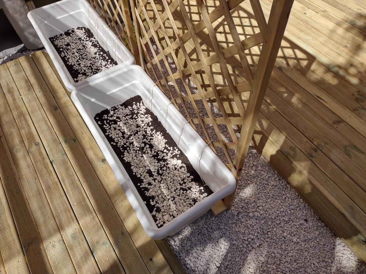 Appartamento Corallo With Private Garden Όλμπια Εξωτερικό φωτογραφία