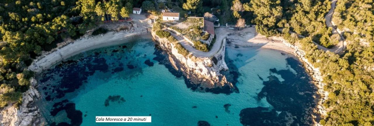 Appartamento Corallo With Private Garden Όλμπια Εξωτερικό φωτογραφία