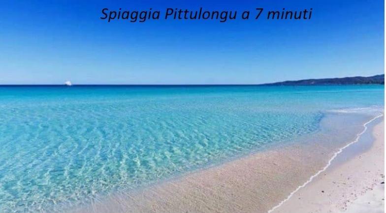 Appartamento Corallo With Private Garden Όλμπια Εξωτερικό φωτογραφία