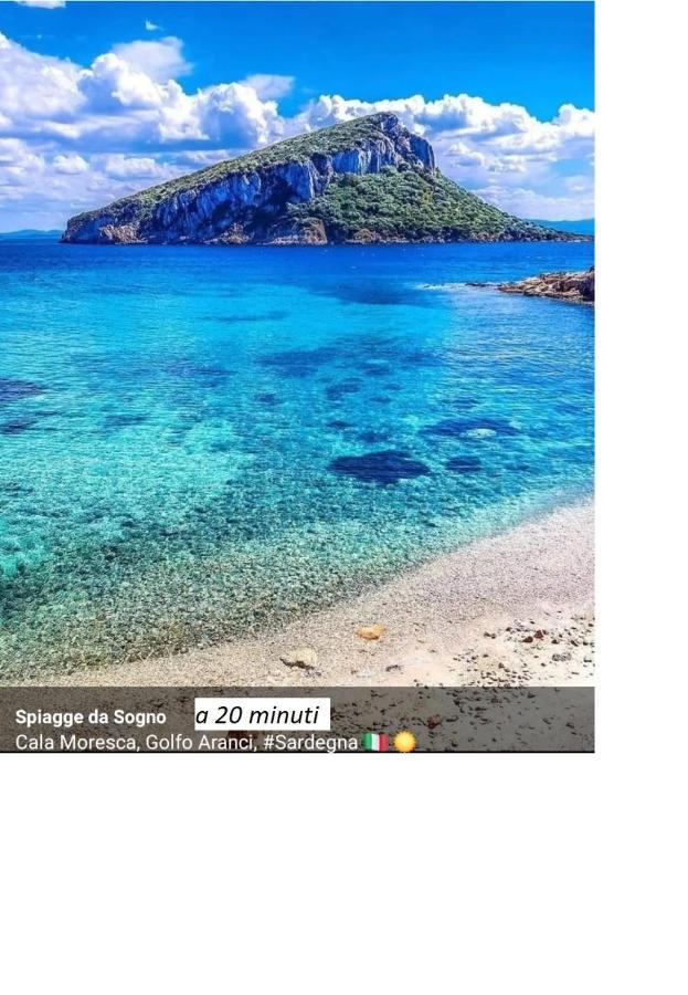 Appartamento Corallo With Private Garden Όλμπια Εξωτερικό φωτογραφία